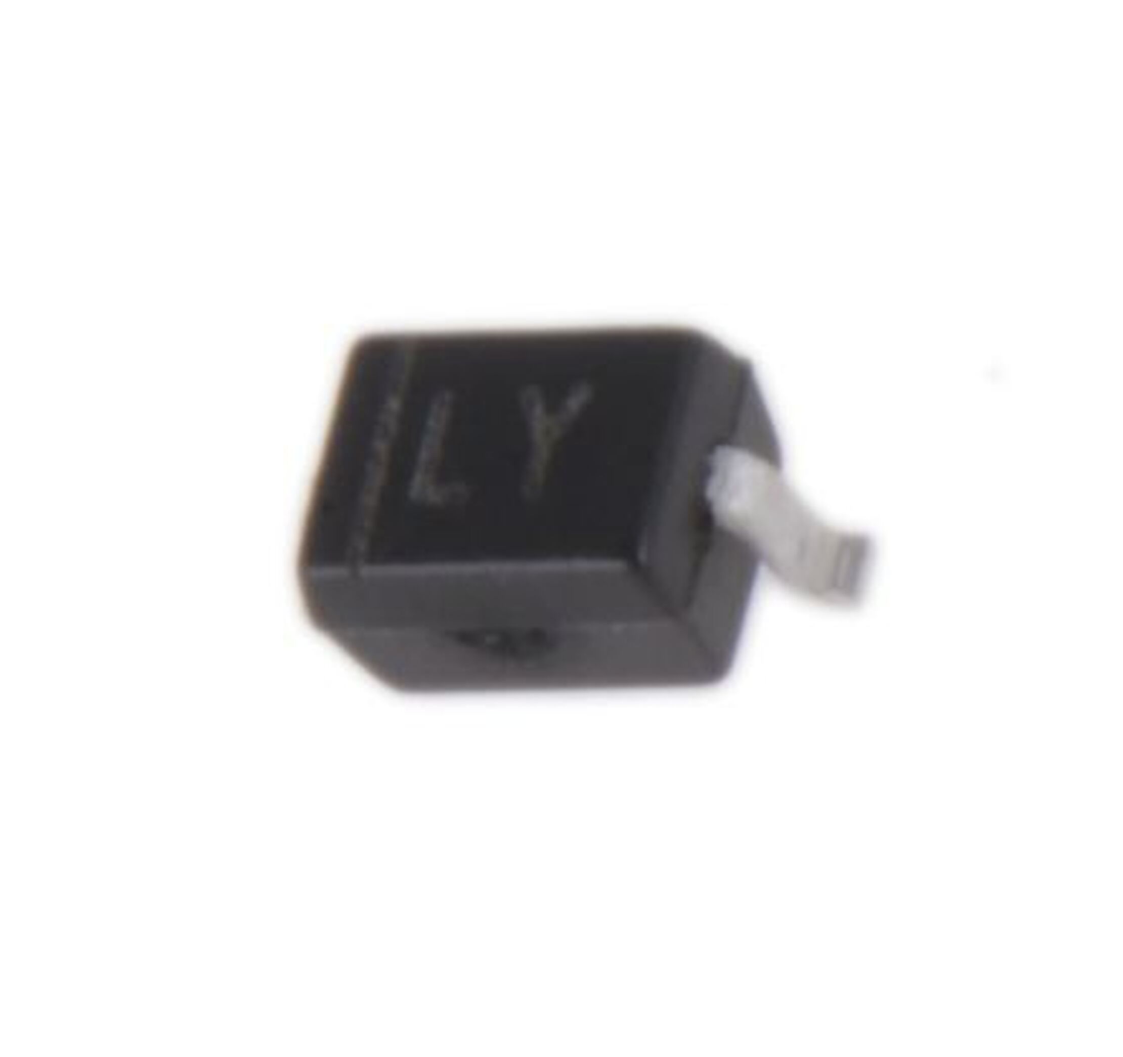 BAV5004WS-7