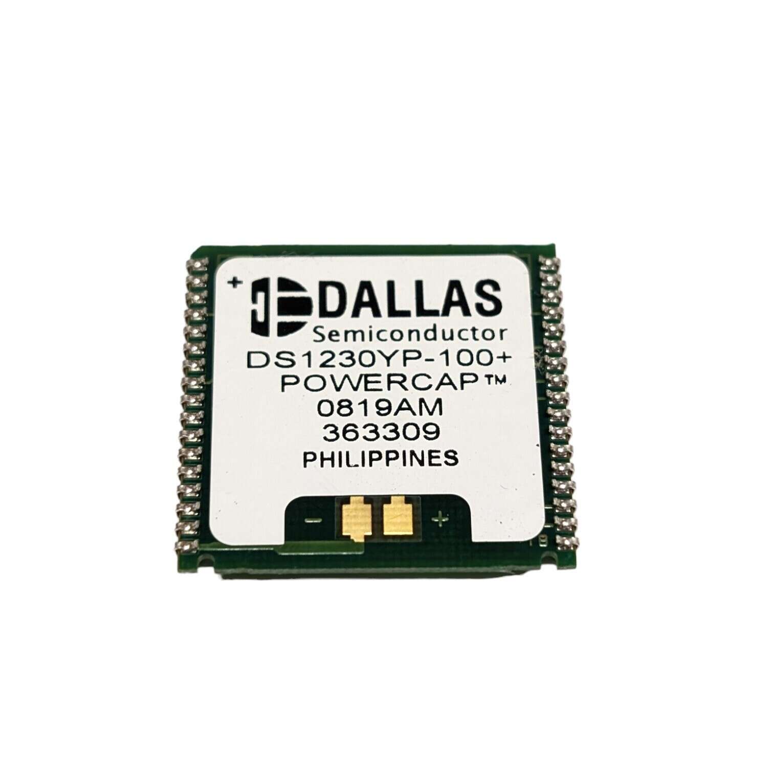 DS1230YP-100